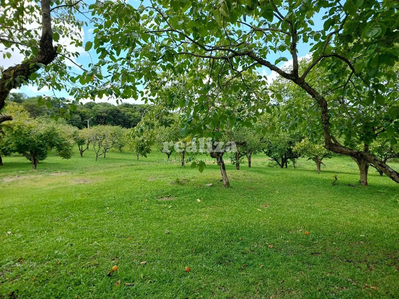 TERRENO EM GRAMADO