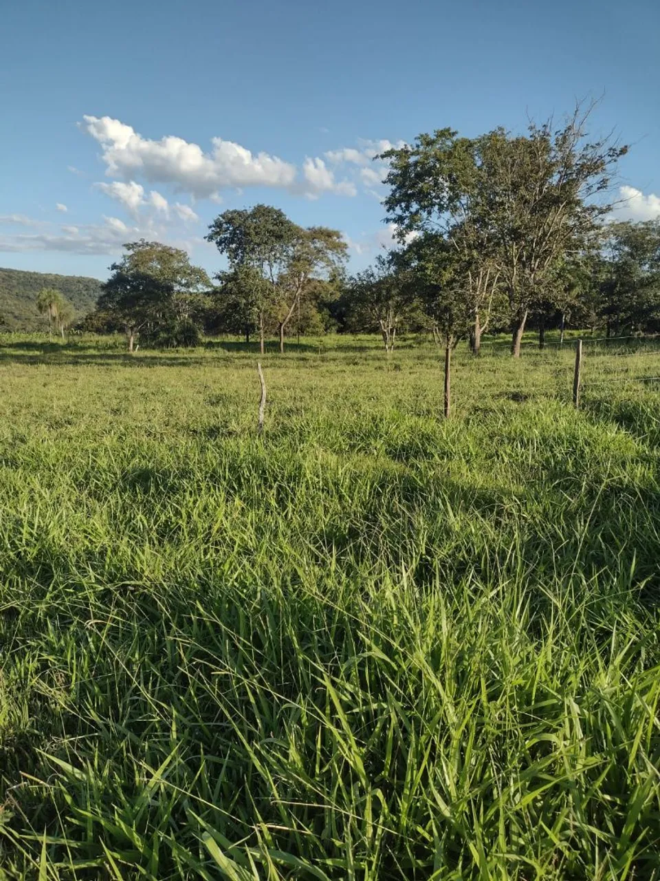 Chácara com 54 hectares localizado próximo ao município de Nioaque MS