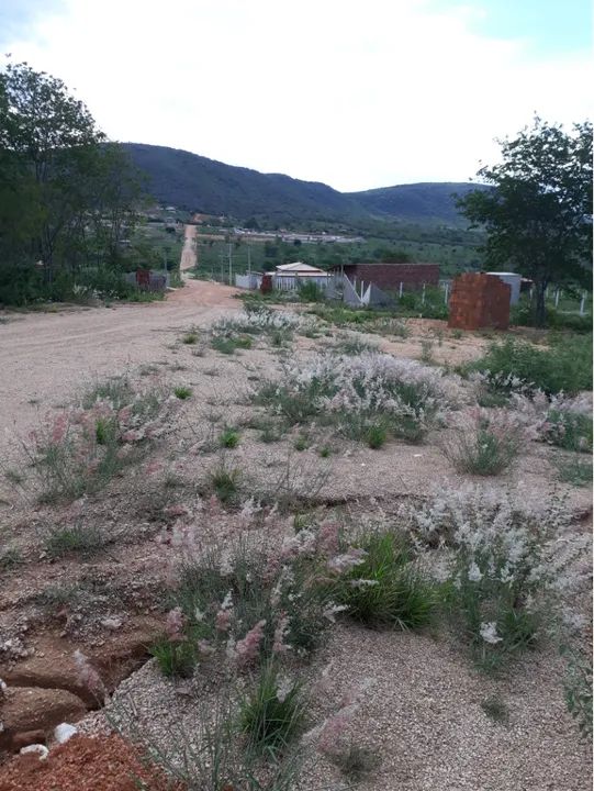 Terreno localizado na chácara Santa Rosa, Salobro PE 270 - Foto 3