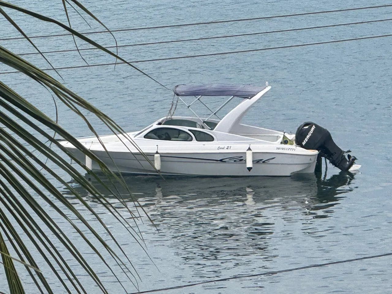 Lancha Coral 21 Pés | Motor Mercury 115HP | Apenas R$ 60 Mil - Foto 5