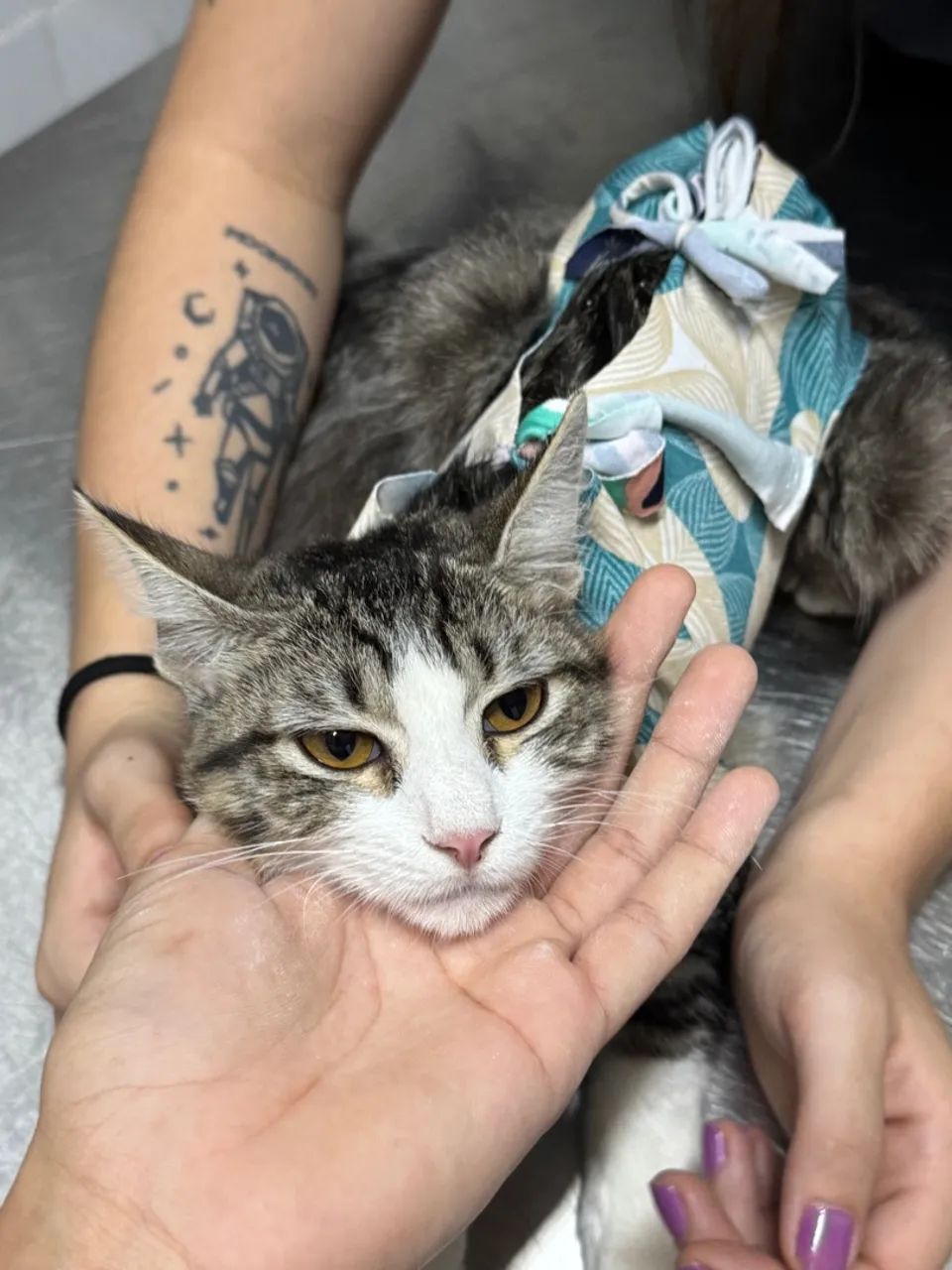 Gatinha filhote para adoção  - Foto 2