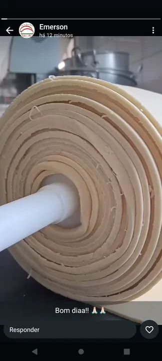 Massa pra pastel, lasanha, ravioli e rondelli  - Foto 5