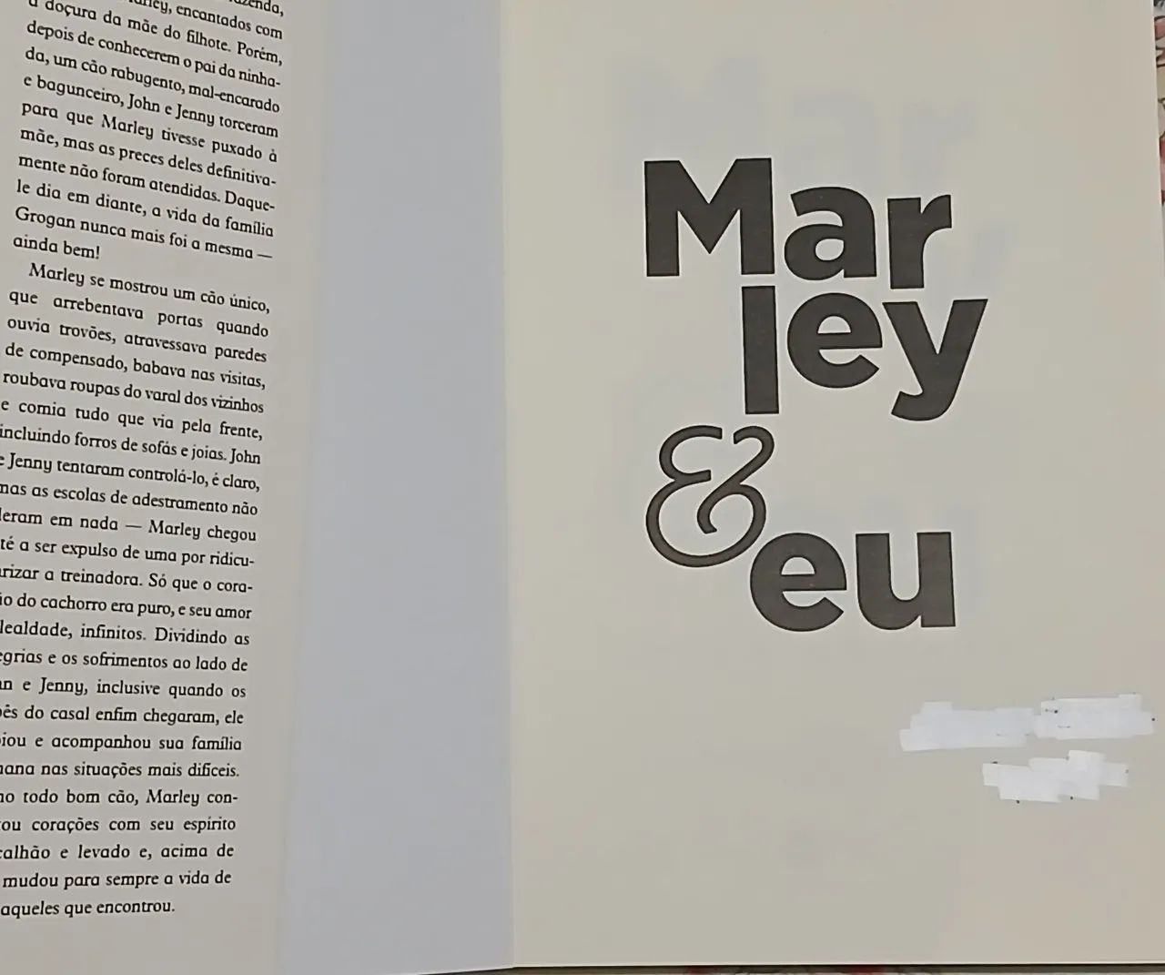 Marley & Eu - John Grogan - Foto 3