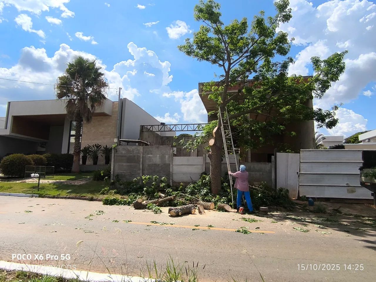 Serviços de jardinagem em geral  - Foto 5