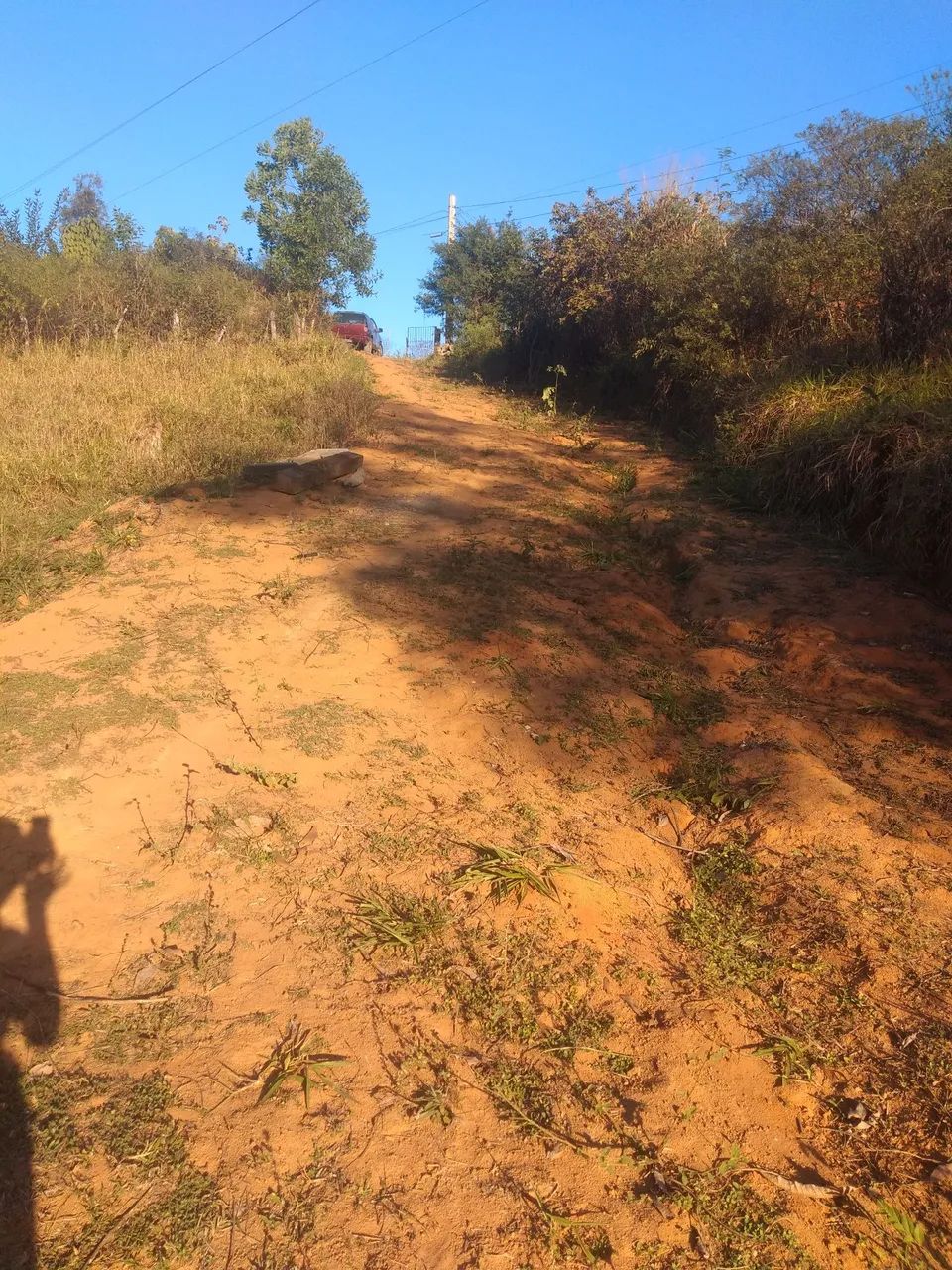 Terreno com uma pequena mata nativa - Foto 3