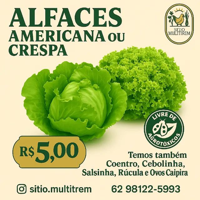 alface64309220749187120