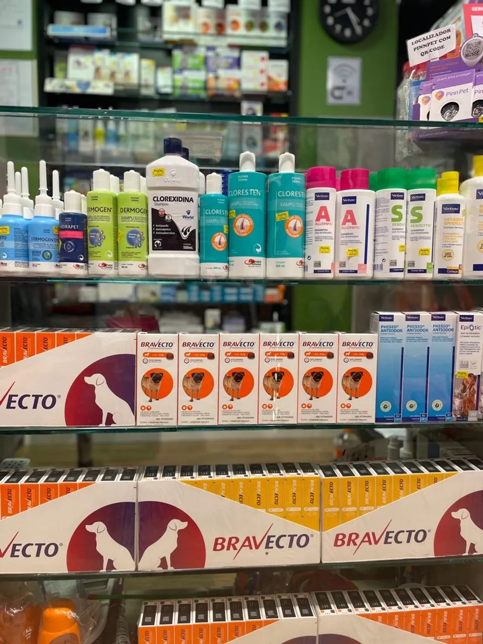 VENDO PET SHOP NO KOBRASOL