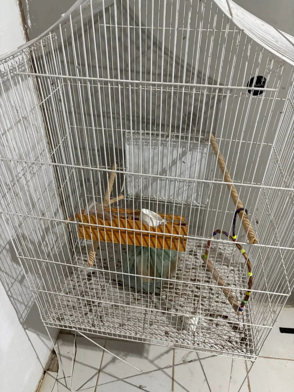 Gaiola para Calopsita - Foto 5