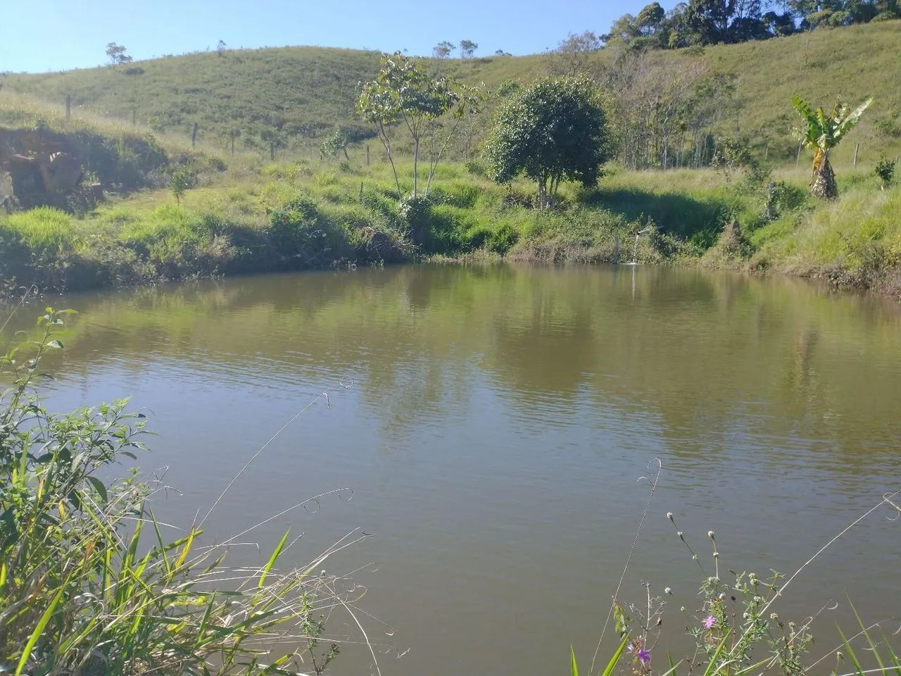 Fazendinha 15 Alqueires Cariacica  - Foto 9