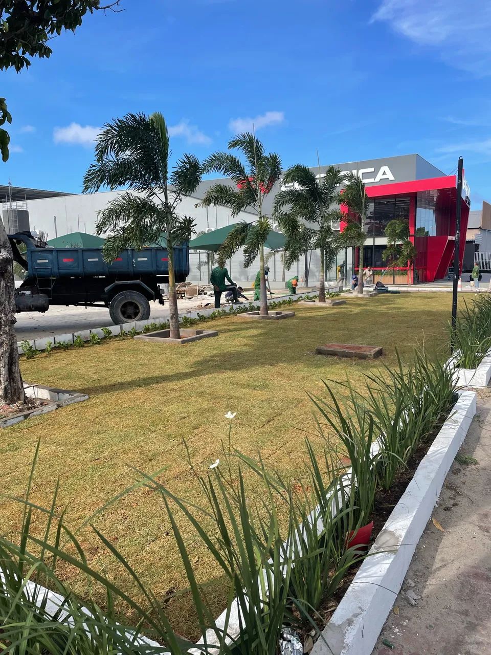 Grama Esmeralda PROMOÇÃO  - Foto 5