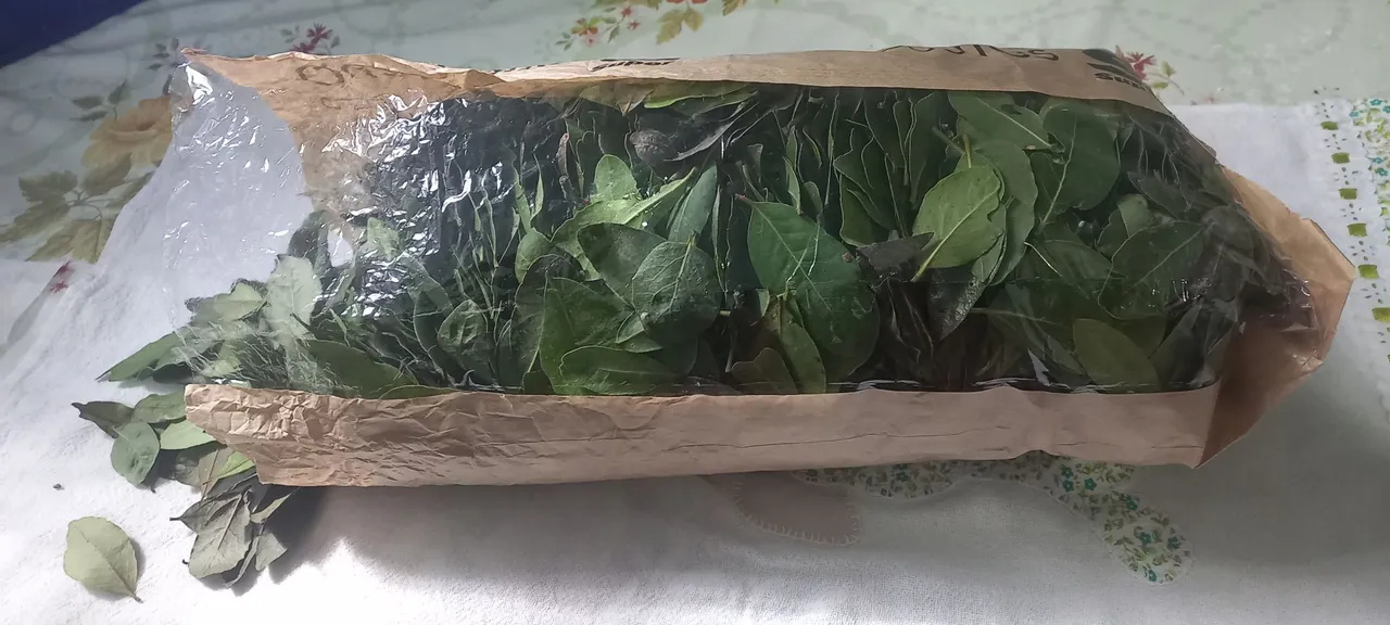 200 Folhas médias de Louro Frescas orgânicas para uso culinário.