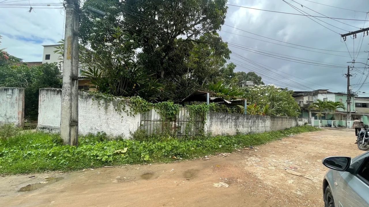 Foto - Olinda - Passarinho