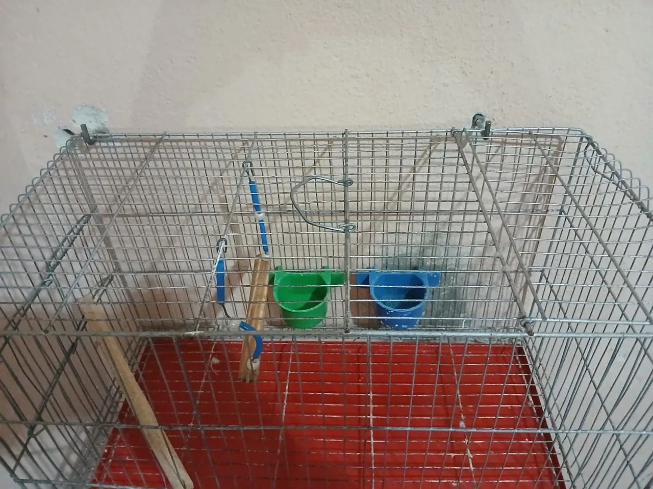 Gaiola para pássaros - Foto 2