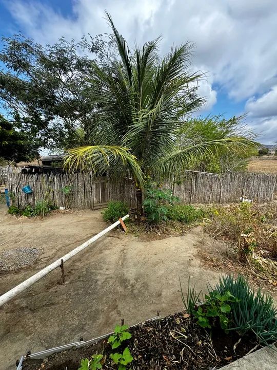 Sítio com casa em área tranquila - Foto 2