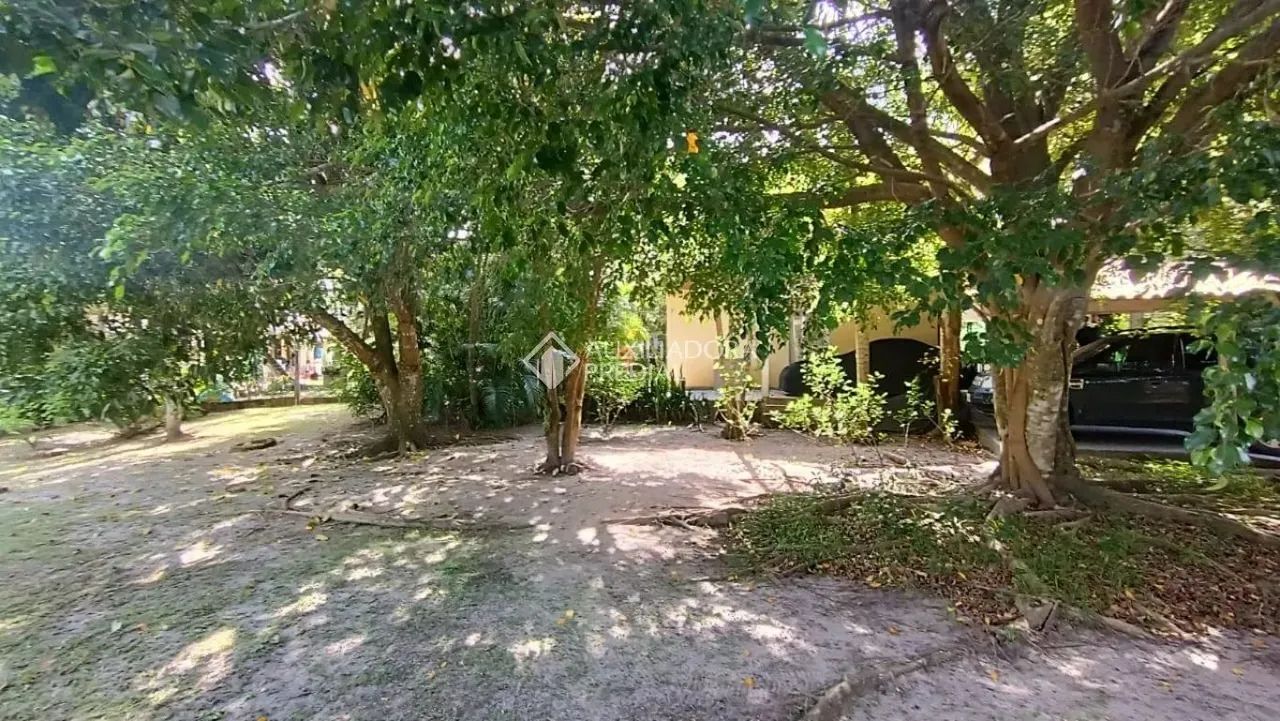 Oportunidade: Sítio de 25.000 m², Plano e com Frente para a Geral - Foto 3