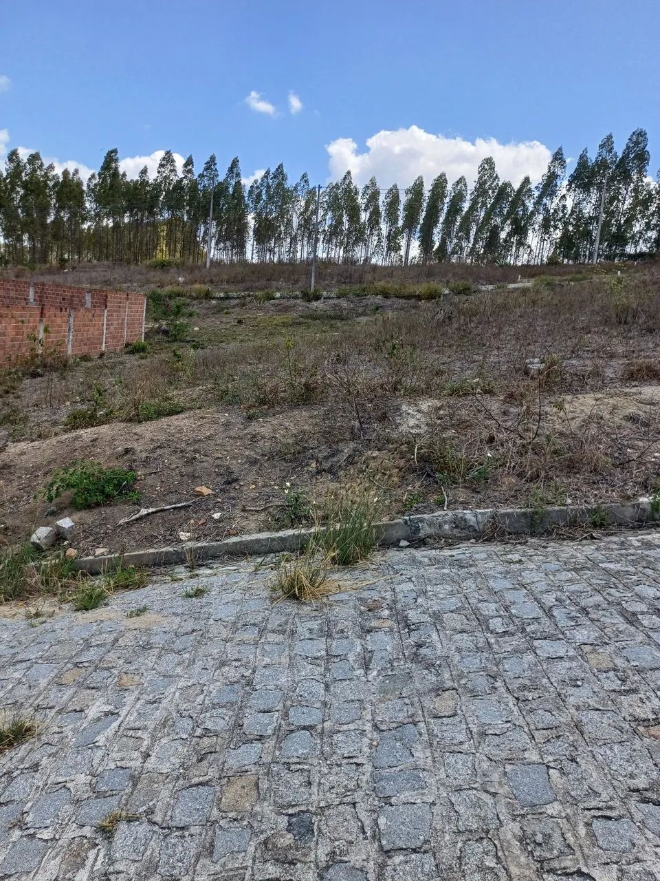 Terreno Tracunhaém 8x20 - Foto 2