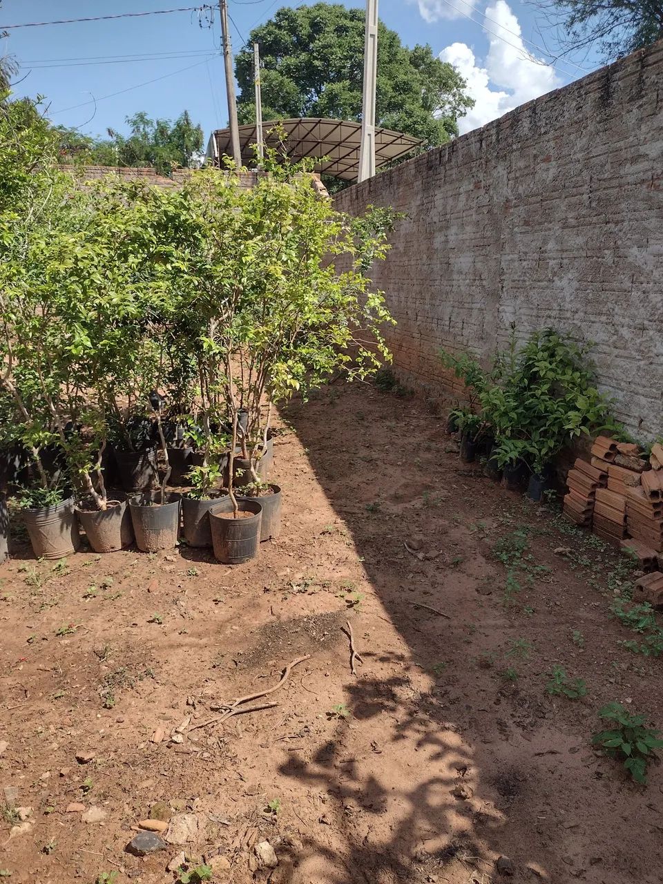Vendo lote em Herculândia  ou troco..