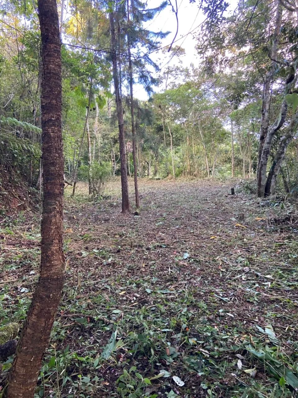 Foto - Nova Friburgo - Centro
