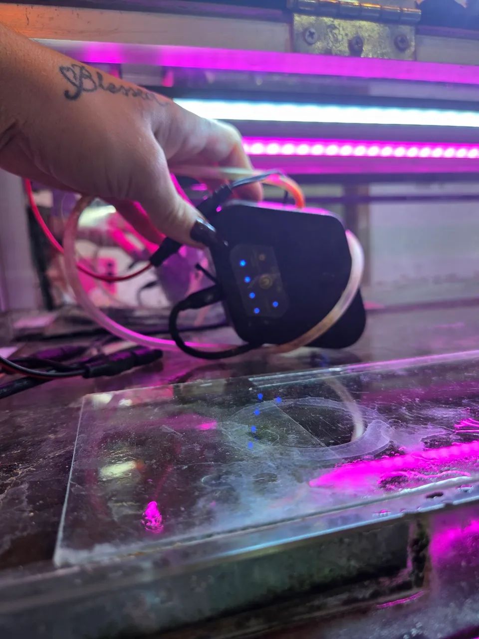 AQUÁRIO COMPLETO, COM MÓVEL E SUMP 500L - Foto 4