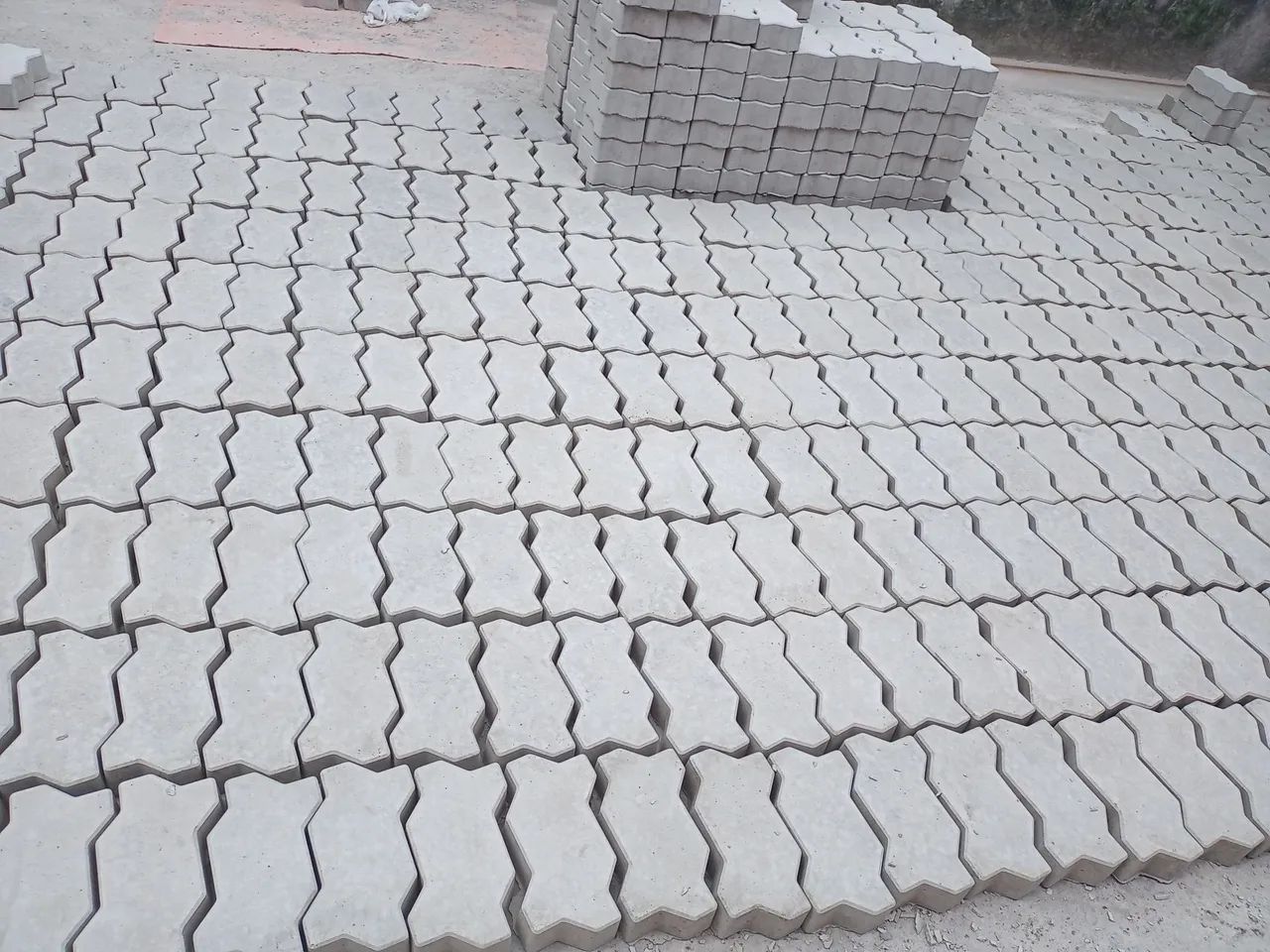 Casa das pingadeiras. - Foto 6