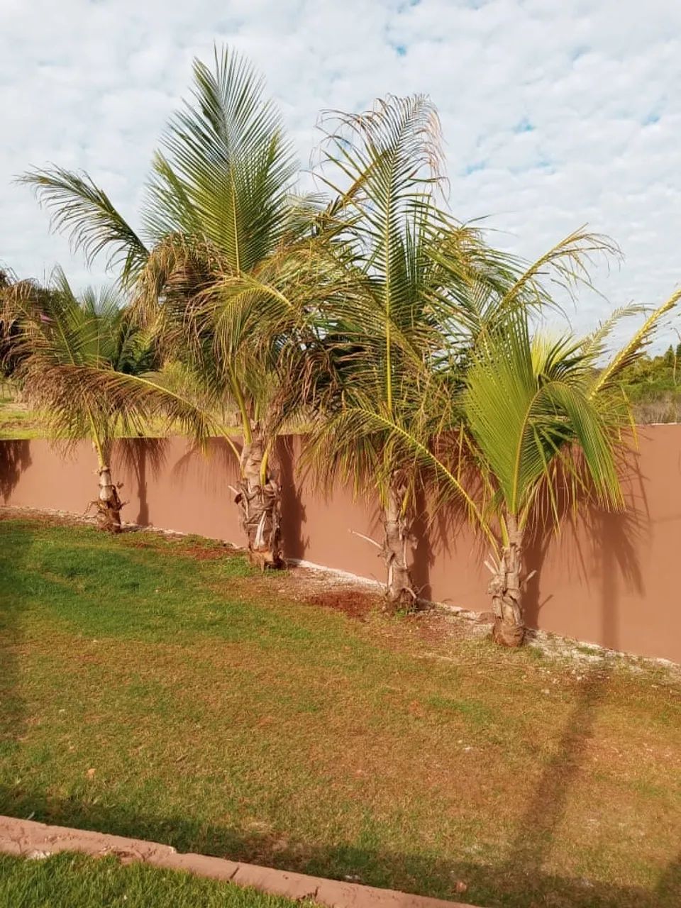 Vendo ou troco chácara  - Foto 2