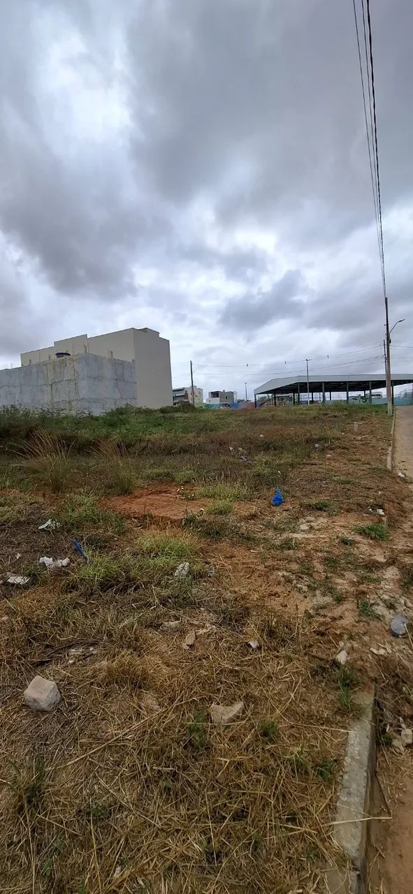 LOTE DE REPASSE NO MELHOR DE GLÓRIA - Foto 2