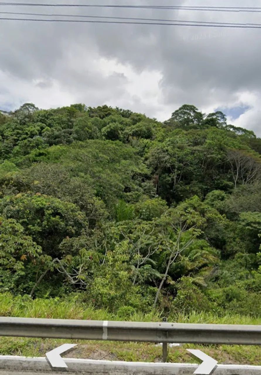Chácara/Sítio, Rural - 12000m² - Foto 5