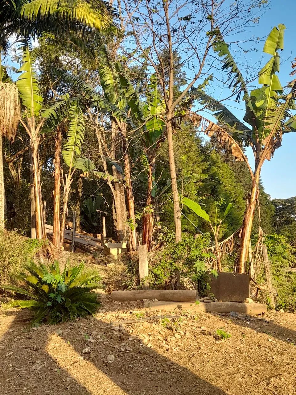 Excelente chácara 2.300mts escriturada poços de caldas  - Foto 4