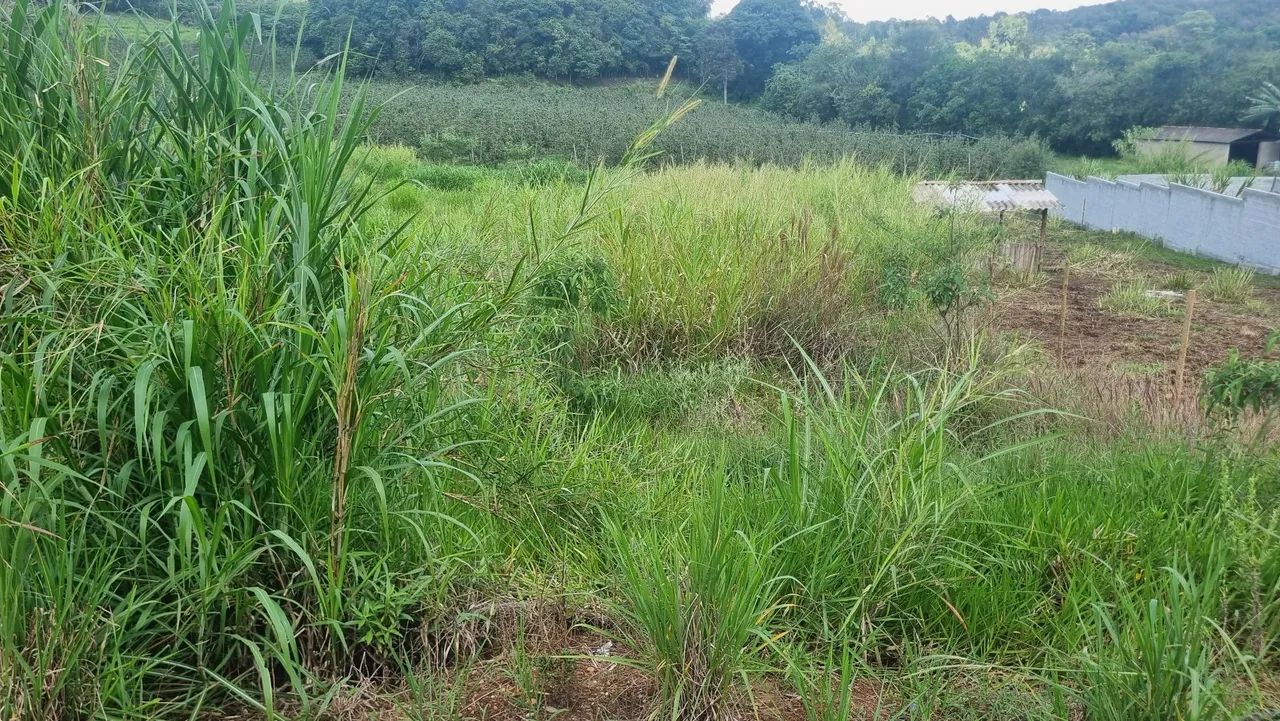 Terreno rural - Foto 4