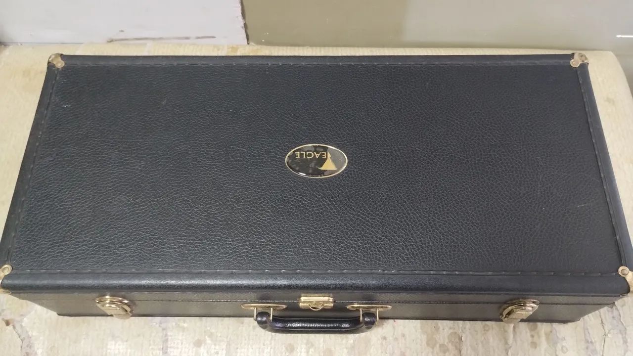 Vendo Sax Alto Eagle 