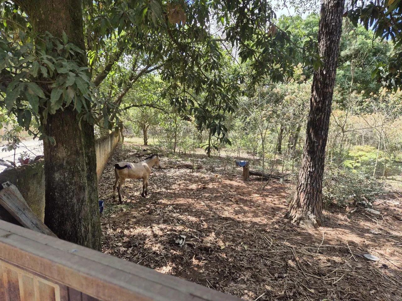Terreno com área de 4.235m² - Araçoiaba da Serra SP - Foto 3