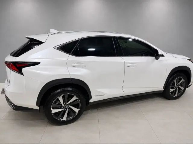 Lexus NX-300 H Luxury 2.5 16V Aut., foto 4 de 11
