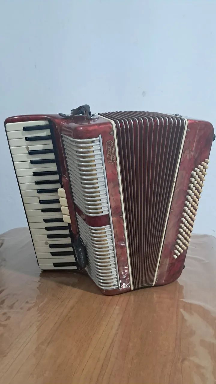 Acordeon - Foto 5