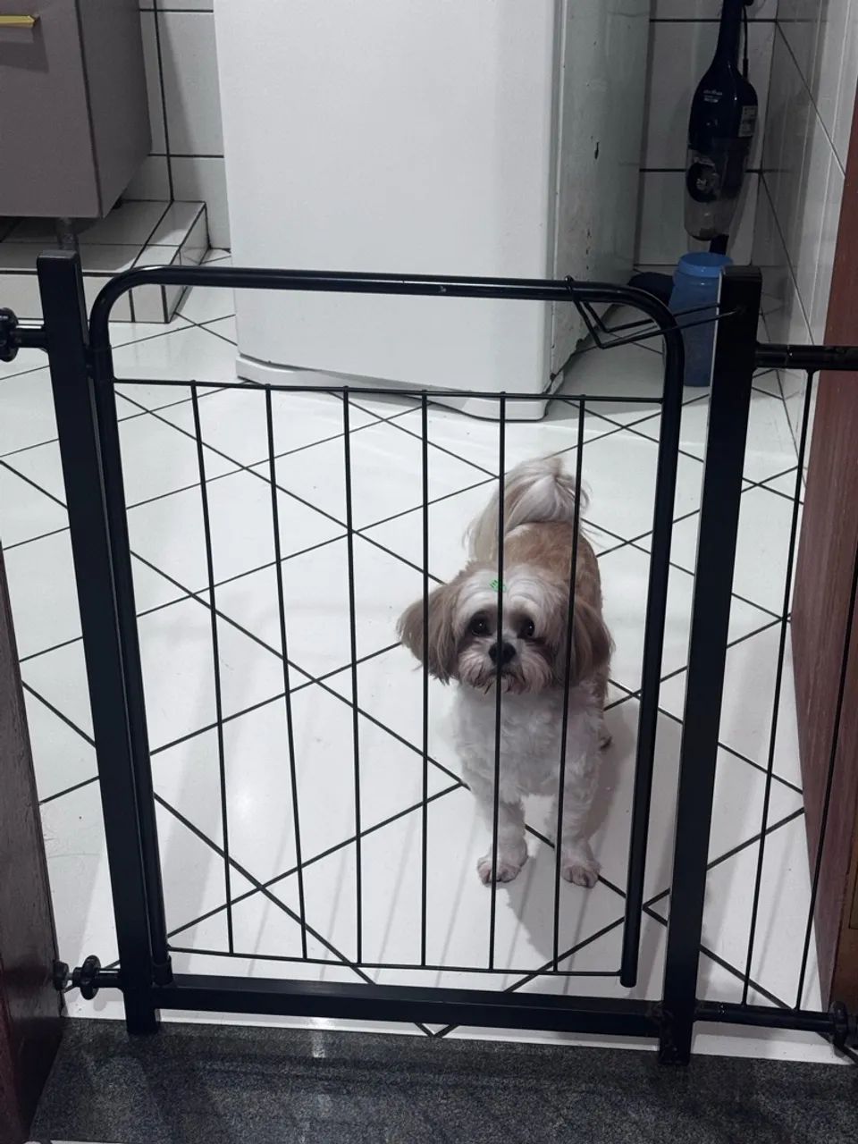 Vendo Grade pra Pet - Foto 4