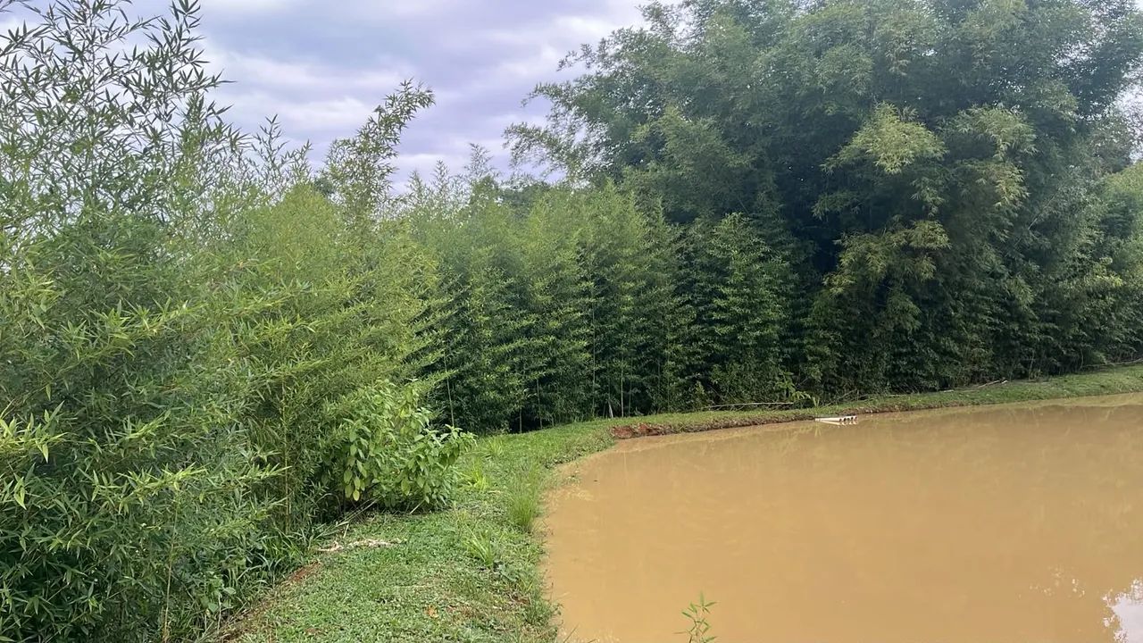 Vende-se Sitio em Lontras  - Foto 2