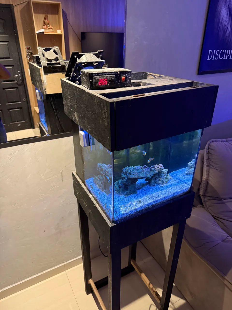 Aquariano marinho nano reef