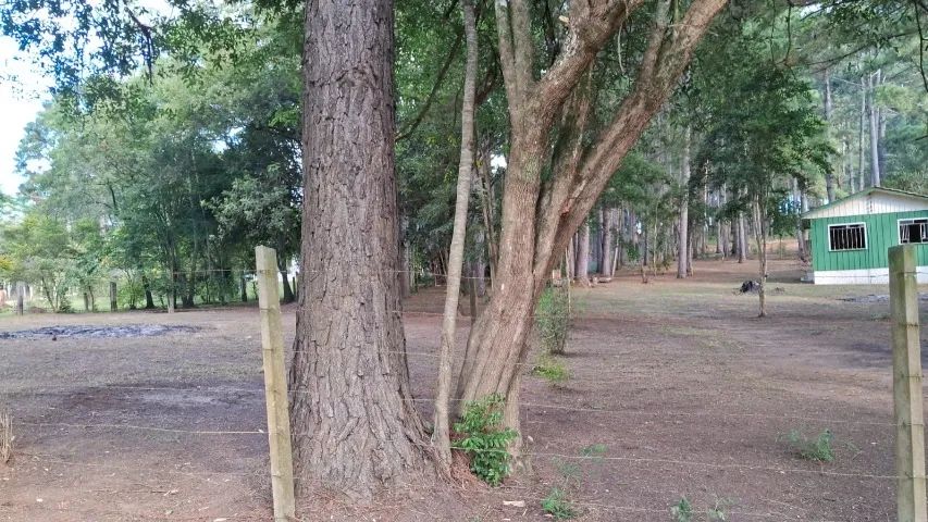 Chácara em Uvaia - Foto 3