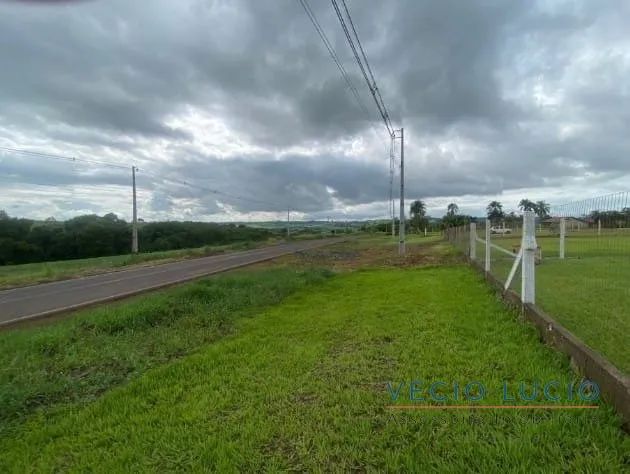 Chácara à Venda na Gleba Ibiporã - Foto 4