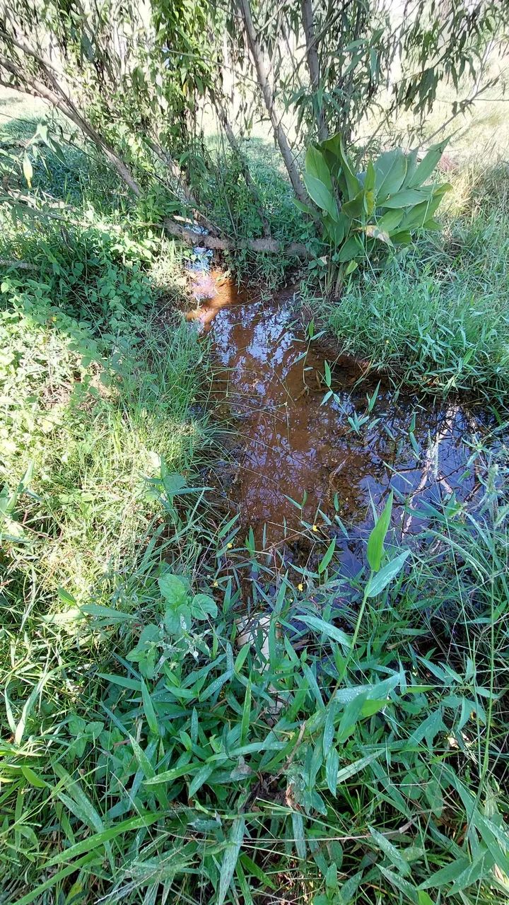 Linda Chácara com pequeno riacho no bairro dos cesarios - Foto 5
