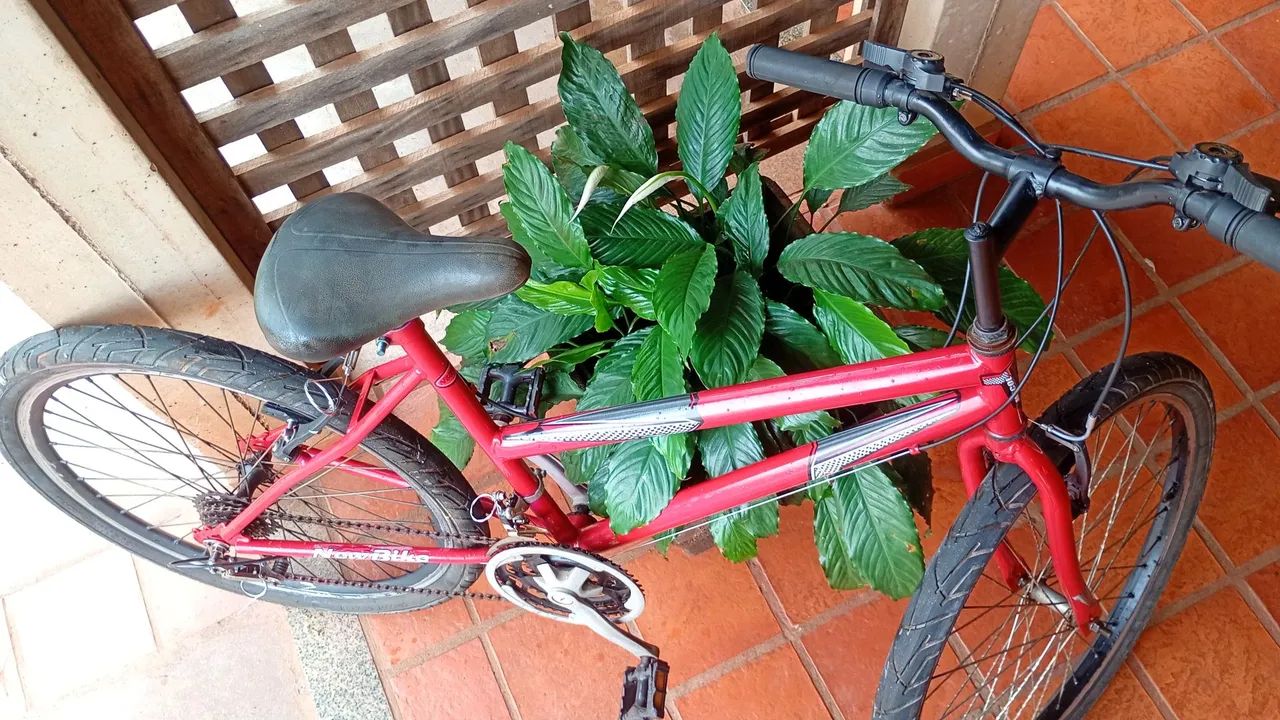 Bicicleta  - Foto 2