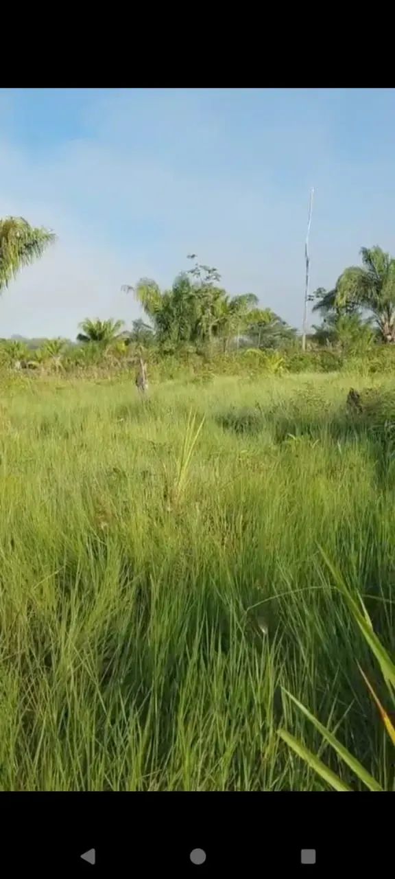 FAZENDA À VENDA  70 HECTARES | CANTÁ  RR - Foto 3