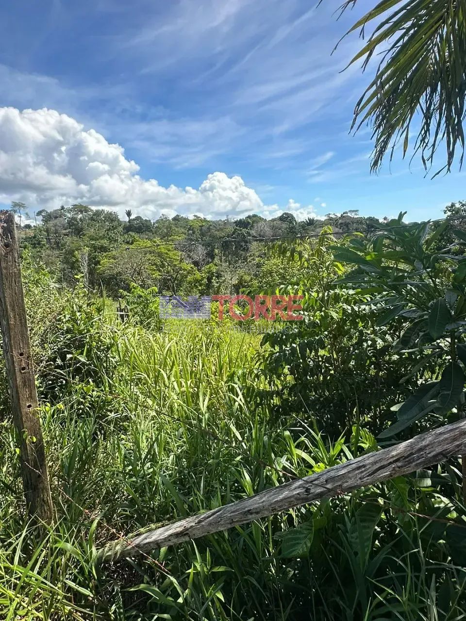Terreno à venda, Cururupe, Ilhéus, BA - Foto 4