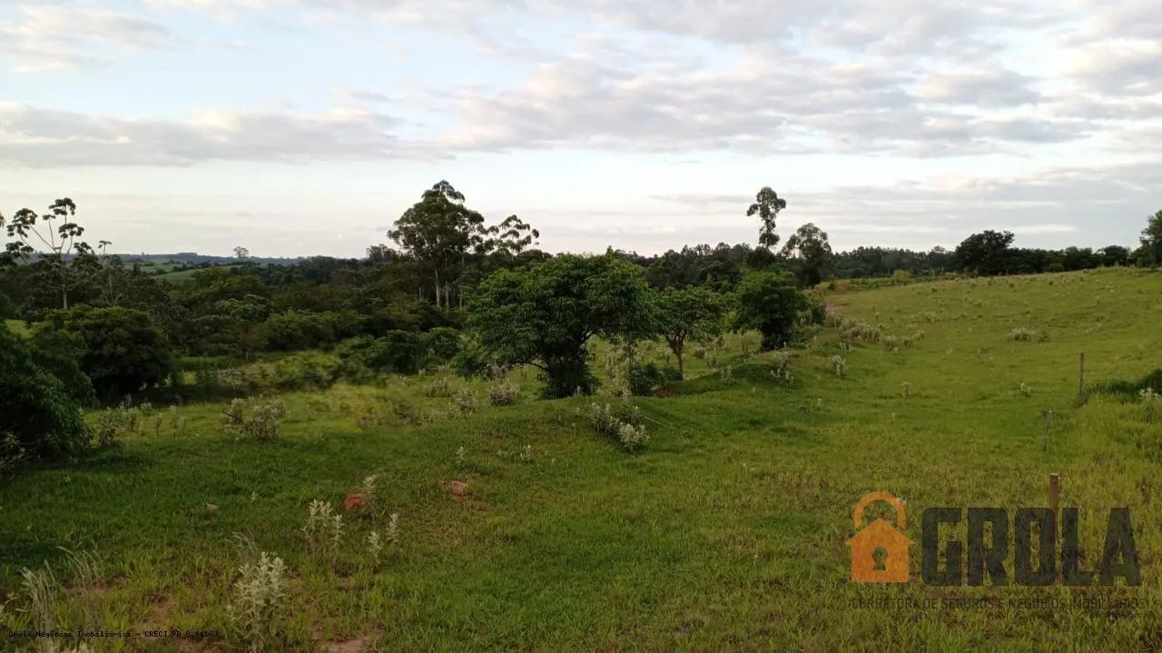 Sítio para Venda em Campo Mourão, Zona Rural - Foto 2