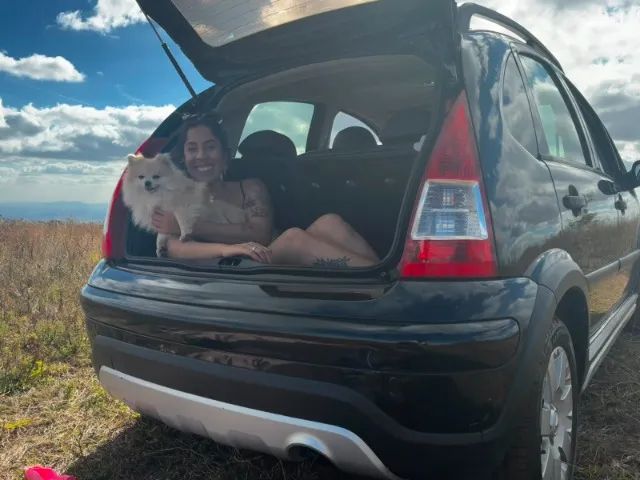 Citroën C3 C3 XTR 1.4 Flex 8V 5p 2011