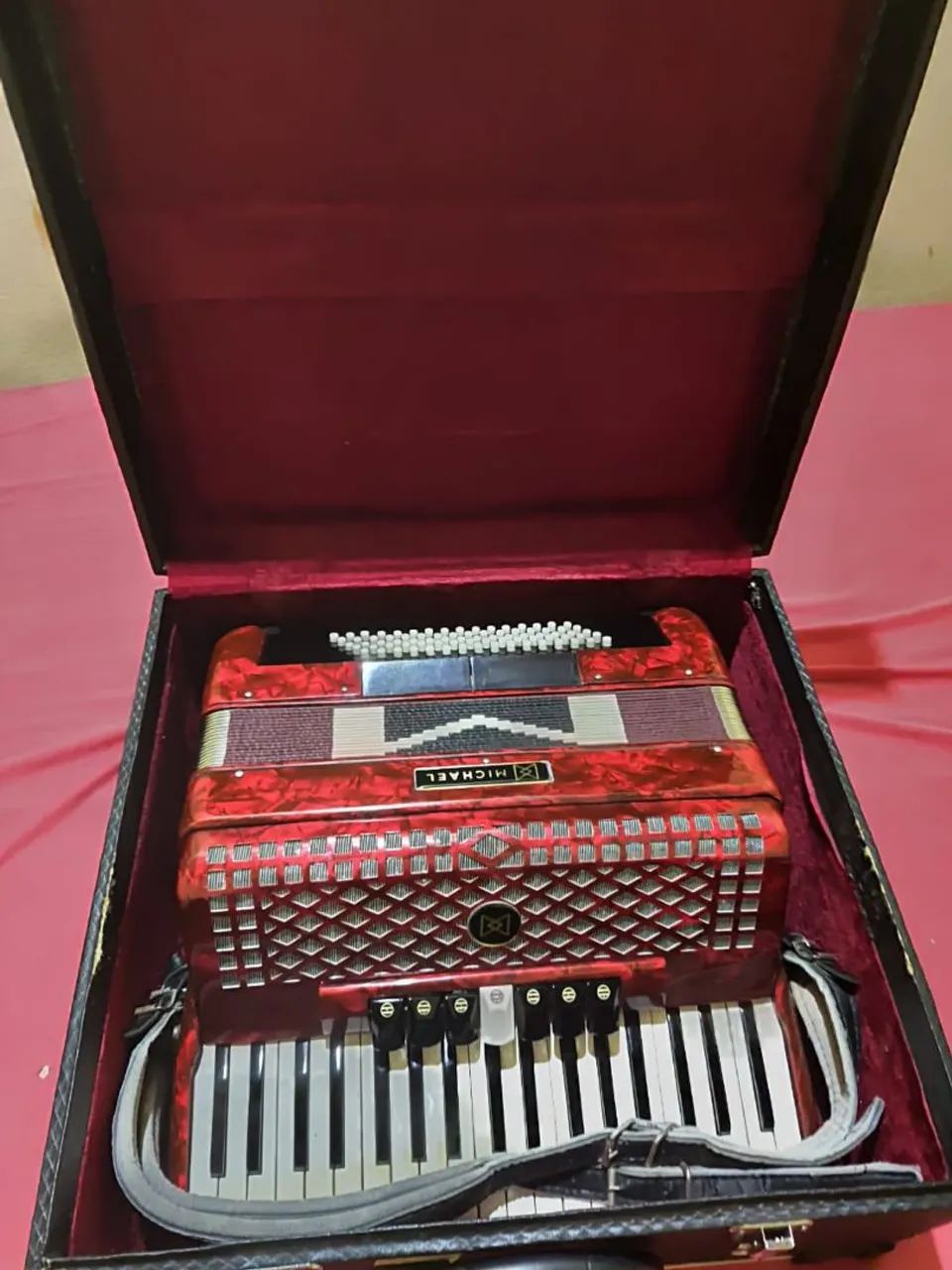 Vendo SANFONA MICHAEL 80 baixos