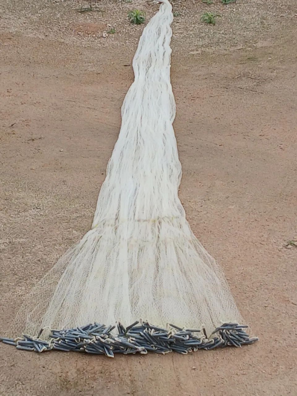 Tarrafa de camarão .