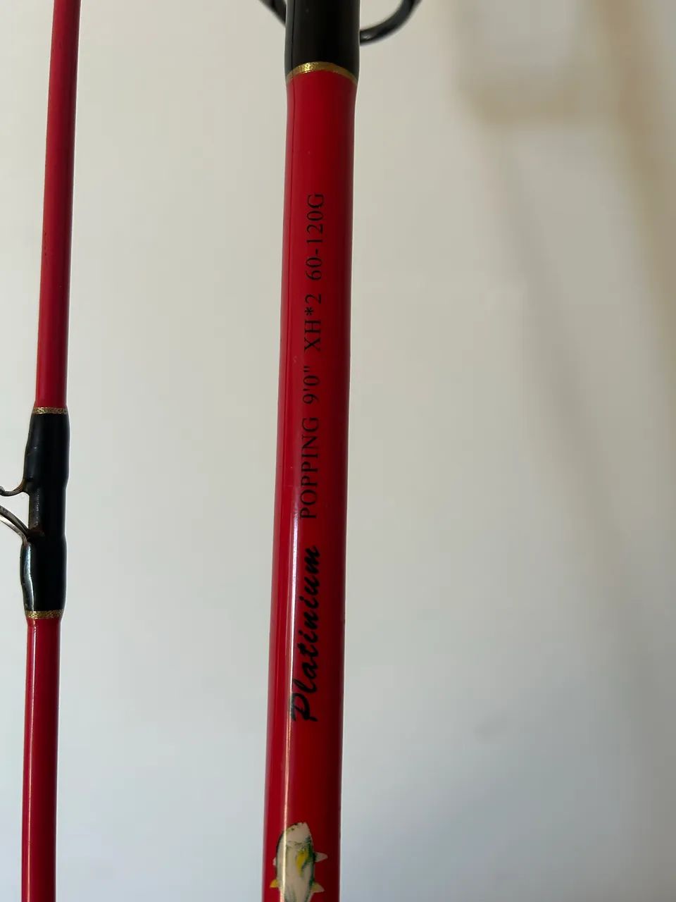 Vara rapala 