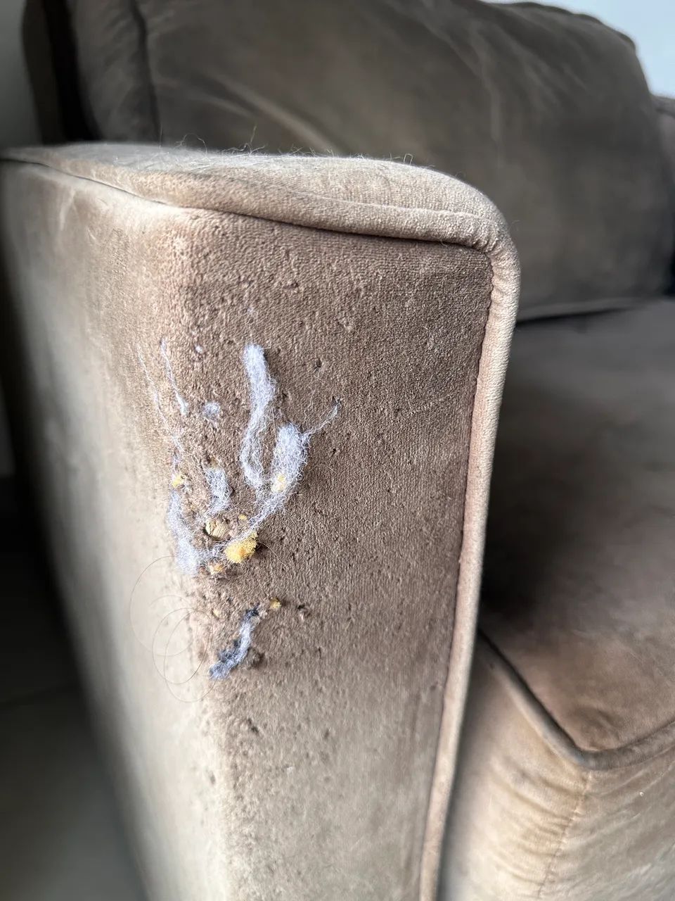 Sofá Retrátil - Foto 2