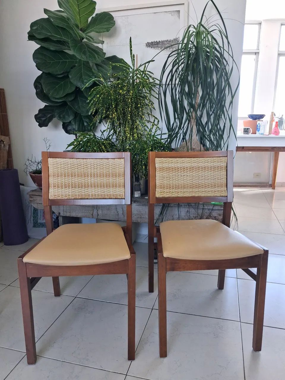 Cadeiras Franco e Bachout - Foto 2