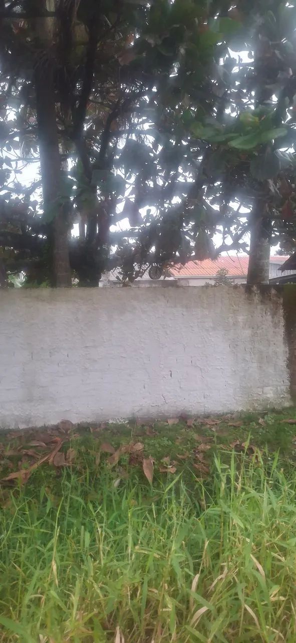 Terreno  - Foto 2